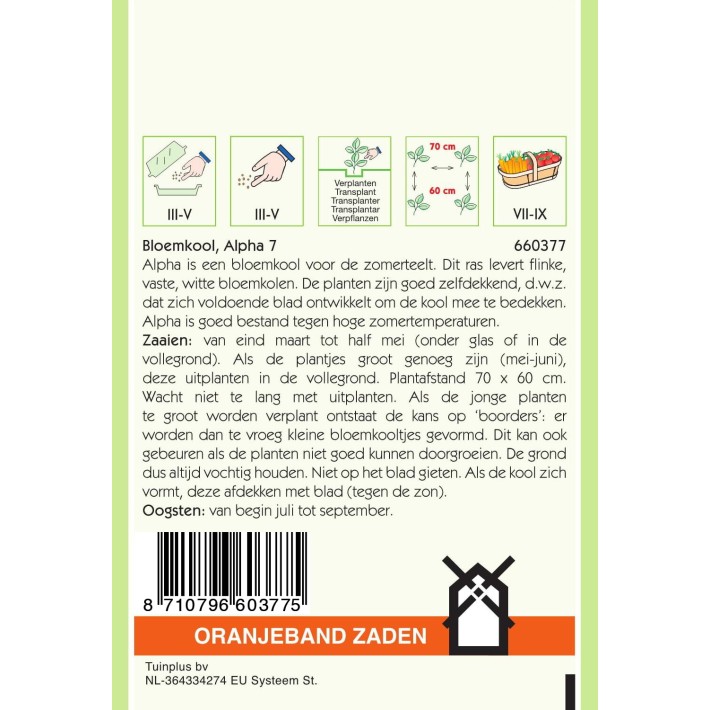 Oranjeband® Cauliflower  Alpha 7