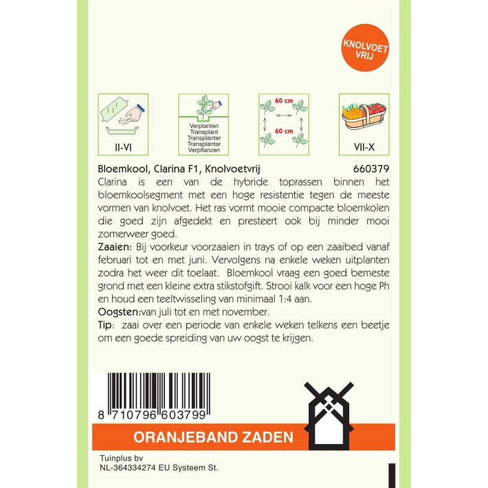 Oranjeband® Cauliflower Clarina F1