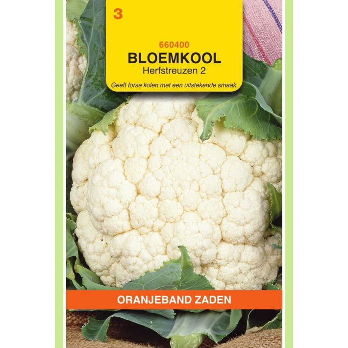Oranjeband® Cauliflower Autumn Giant - 2