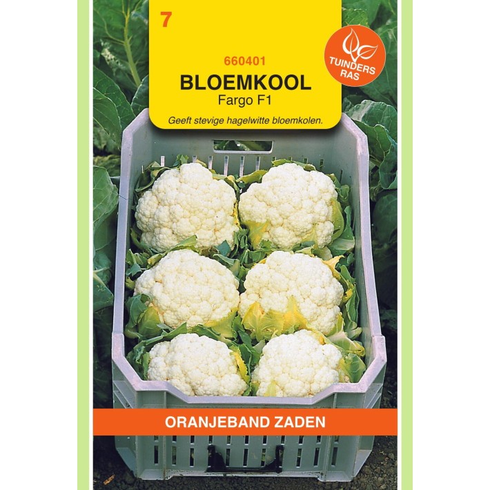 Oranjeband® Cauliflower Fargo F1
