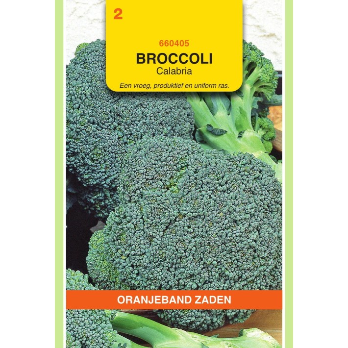 Oranjeband® Broccoli (Calabrese) Calabria