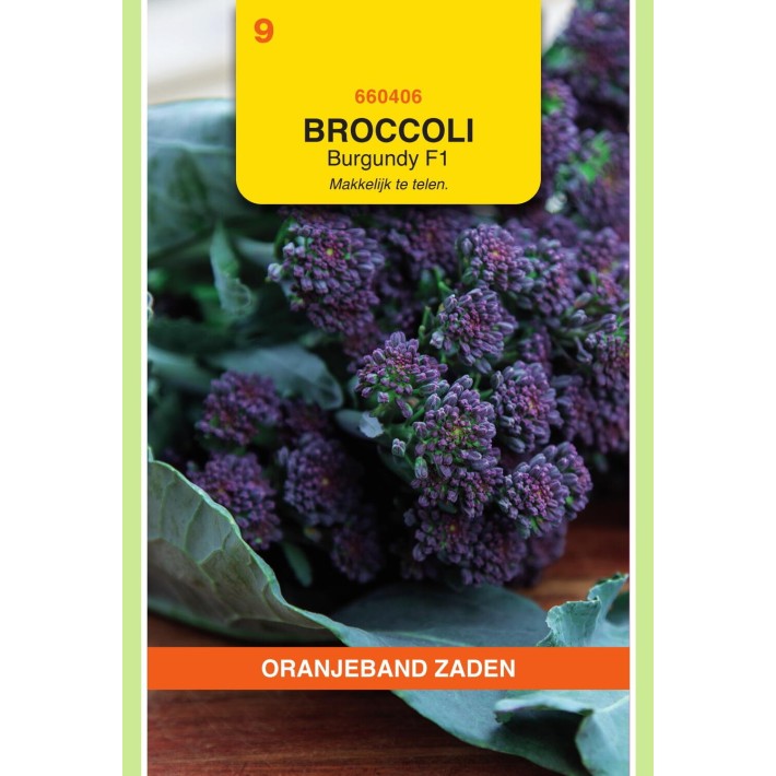 Oranjeband® Sprouting Broccoli Burgundy F1