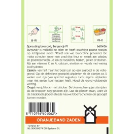 Oranjeband® Sprouting Broccoli Burgundy F1