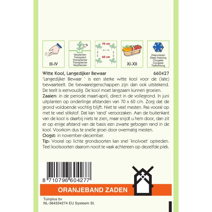 Oranjeband® Cabbage Holland Late Winter - Langedijk 4