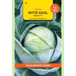 Oranjeband® Chou blanc, Kilazol F1