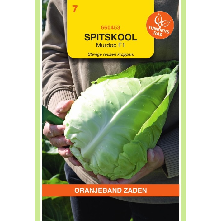 Oranjeband® Chou Pointu Murdoc