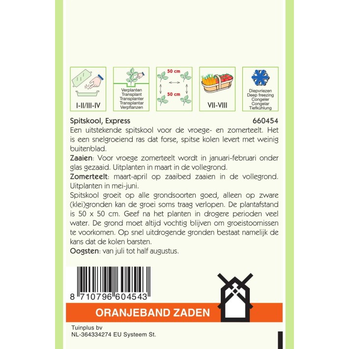 Oranjeband® Cabbage Greyhound