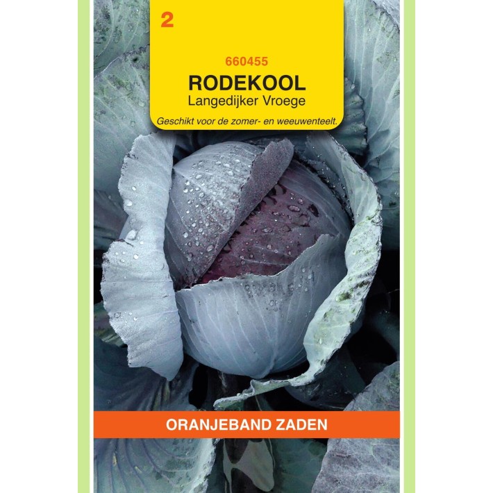 Oranjeband® Chou Rouge Hatif De Langedijk