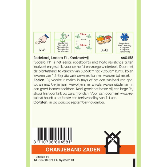 Oranjeband® Chou Rouge Lodero F1