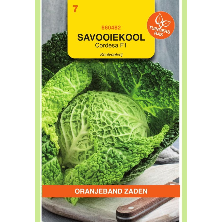 Oranjeband® Chou de Milan Cordesa F1