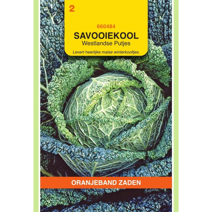 Oranjeband® Chou De Milan Vert F. De Bruxelles