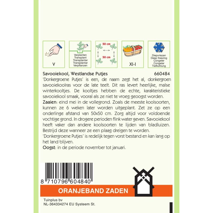 Oranjeband® Chou De Milan Vert F. De Bruxelles