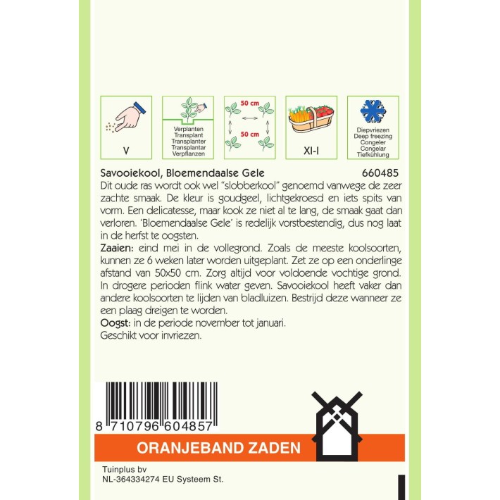 Oranjeband® Chou de Milan Jaune de Bloemendaal