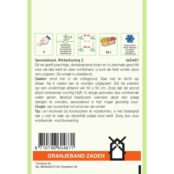 Oranjeband® Chou Milan Roi de l'Hiver 2