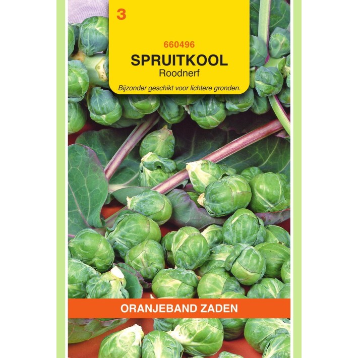 Oranjeband® Brussels Sprouts Roodnerf