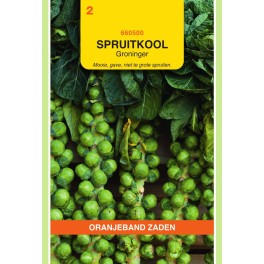 Oranjeband® Brussels Sprouts Groninger
