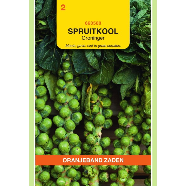 Oranjeband® Brussels Sprouts Groninger