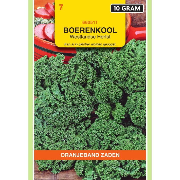 Oranjeband® Borecole or Kale Westland Autumn, 10g