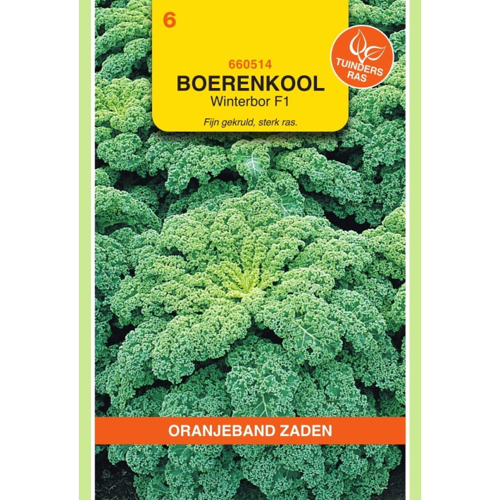 Oranjeband® Borecole Or Kale Reflex/ Winterbor F1
