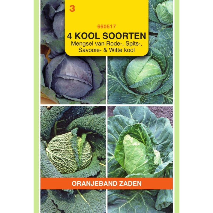 Oranjeband® Chou mixte