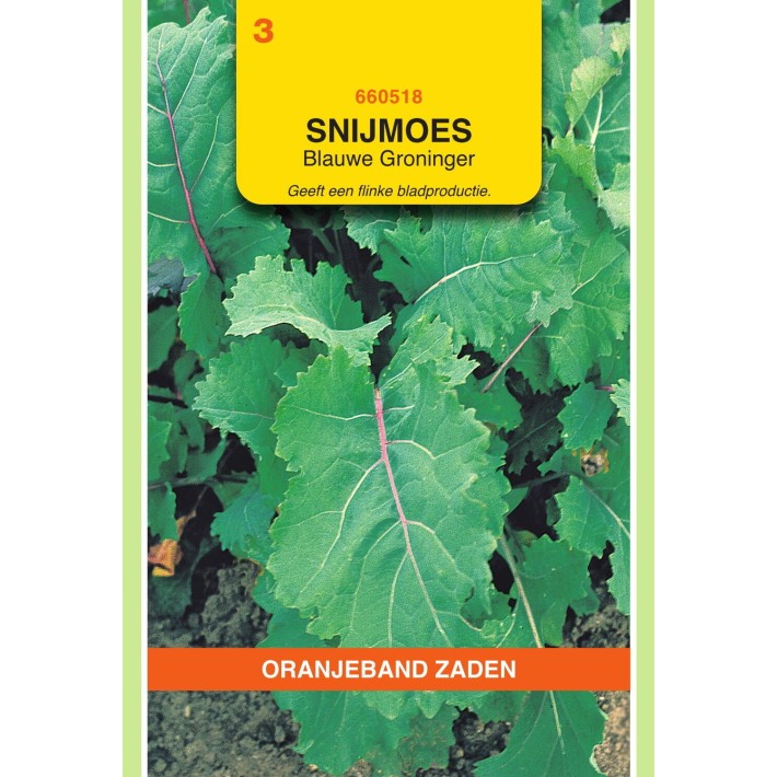 Oranjeband® Quesse De Groningue A Cotes Bleuatres