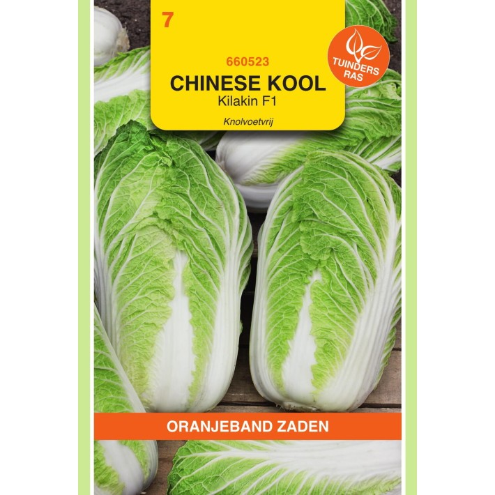 Oranjeband® Chinese cabbage Kilakin F1