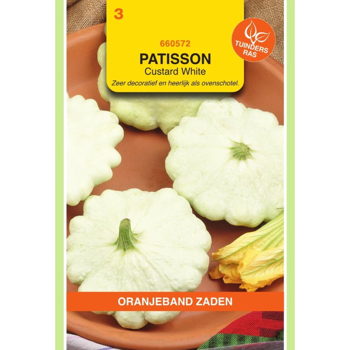 Oranjeband® Squash-Patisson Custard White