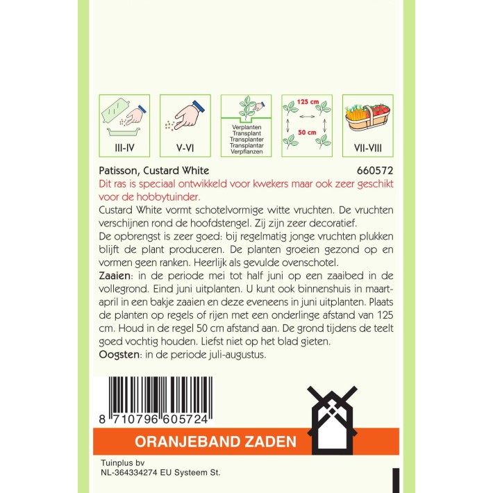 Oranjeband® Squash-Patisson Custard White