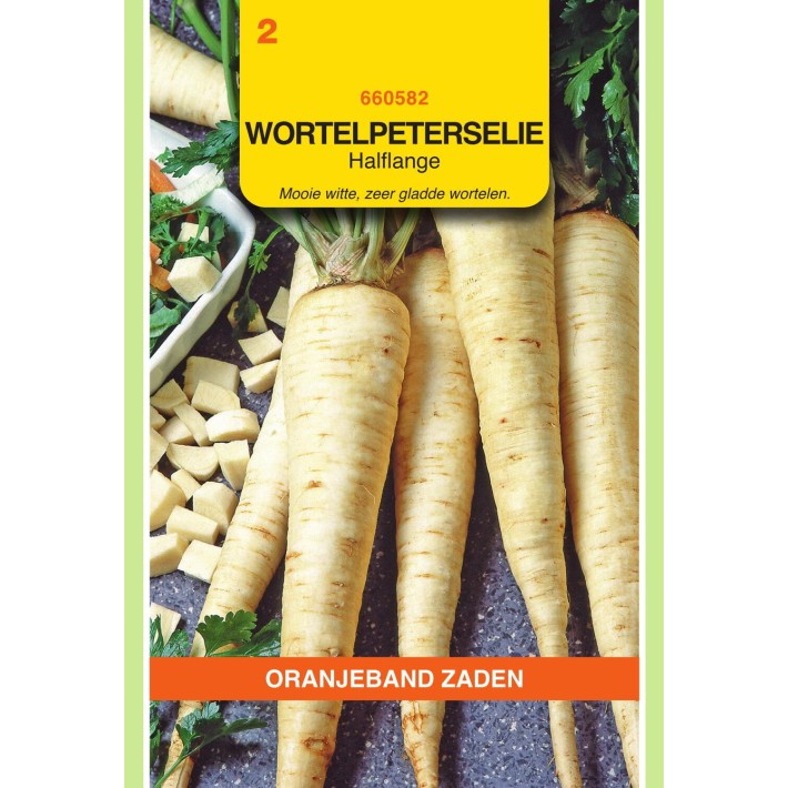 Oranjeband® Parsley Halflong Rooted