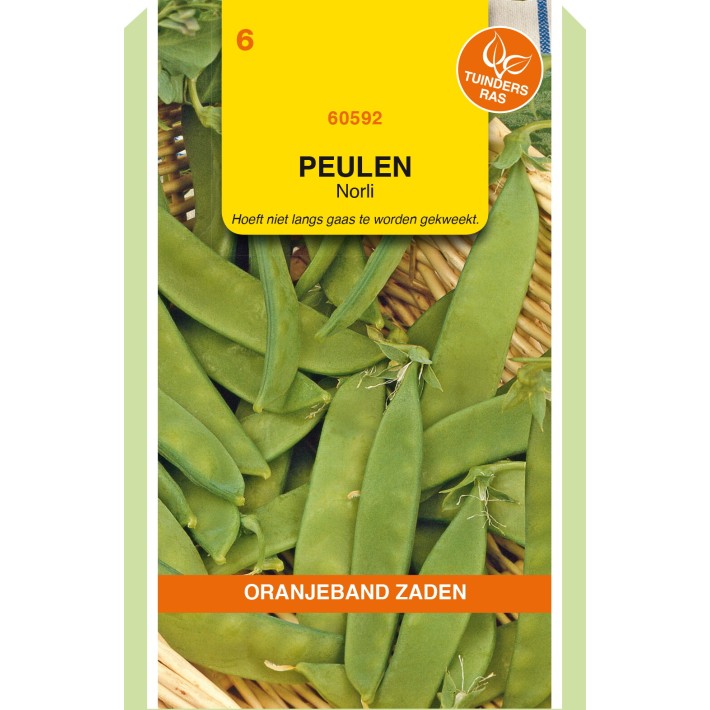 Oranjeband® Pois nain mangetout Norli