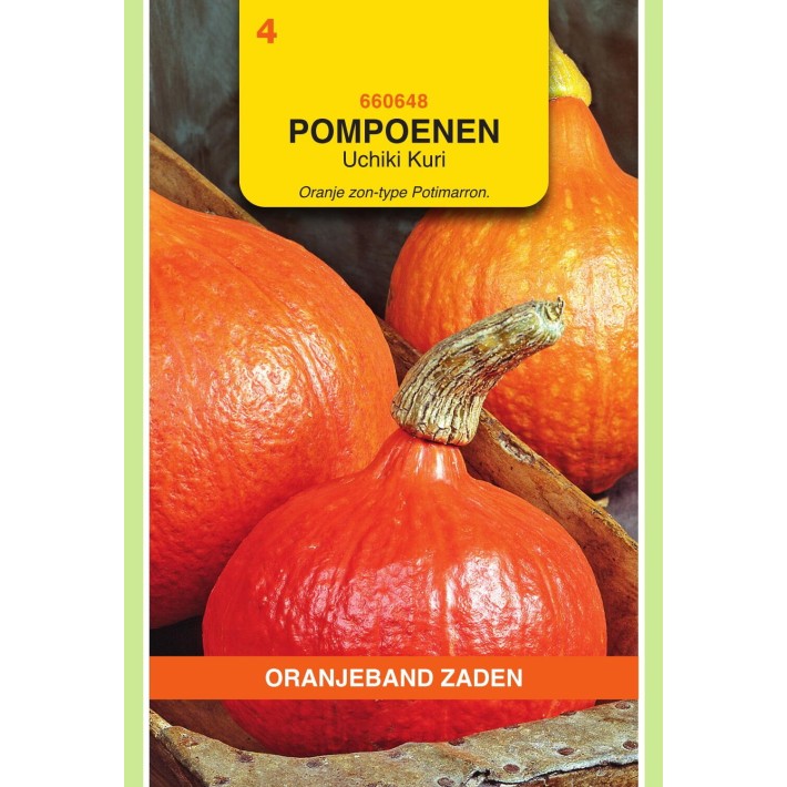 Oranjeband® Pumpkin Uchiki Kuri