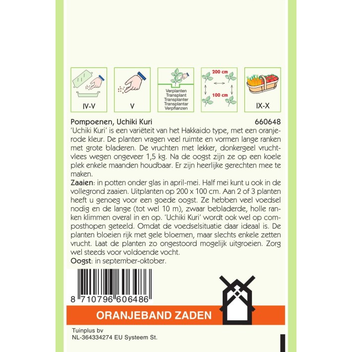 Oranjeband® Pumpkin Uchiki Kuri