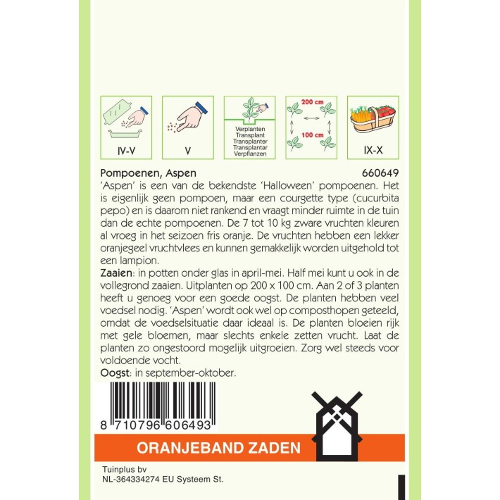 Oranjeband® Pumpkin Aspen *Amateur variety*