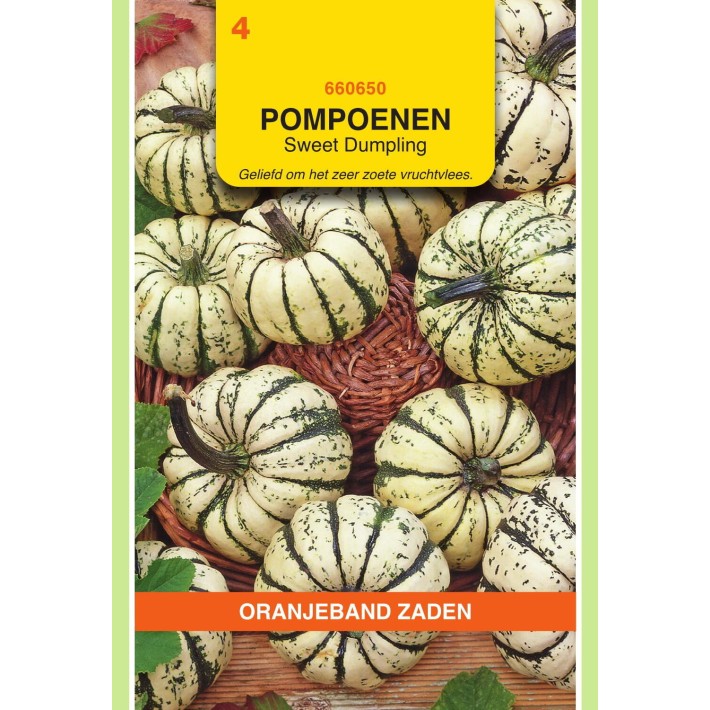 Oranjeband® Wintersquash Sweet Dumpling (Cuc. Pepo)