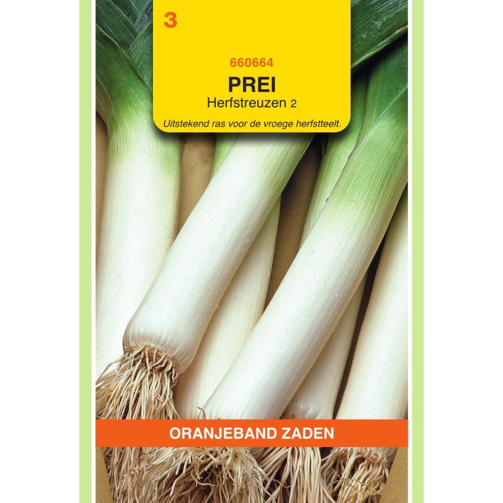 Oranjeband® Poireau Elbeuf 2