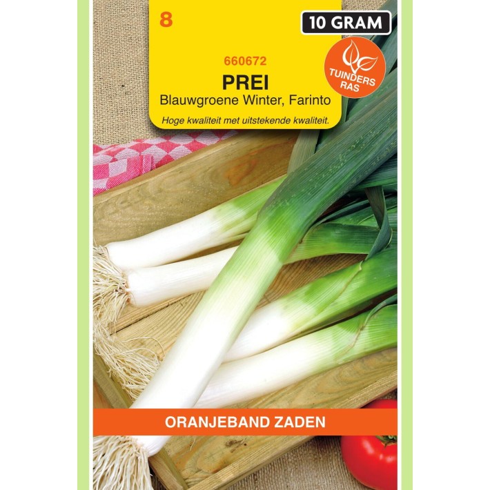 Oranjeband® Poireau vert bleu d'hiver - Farinto