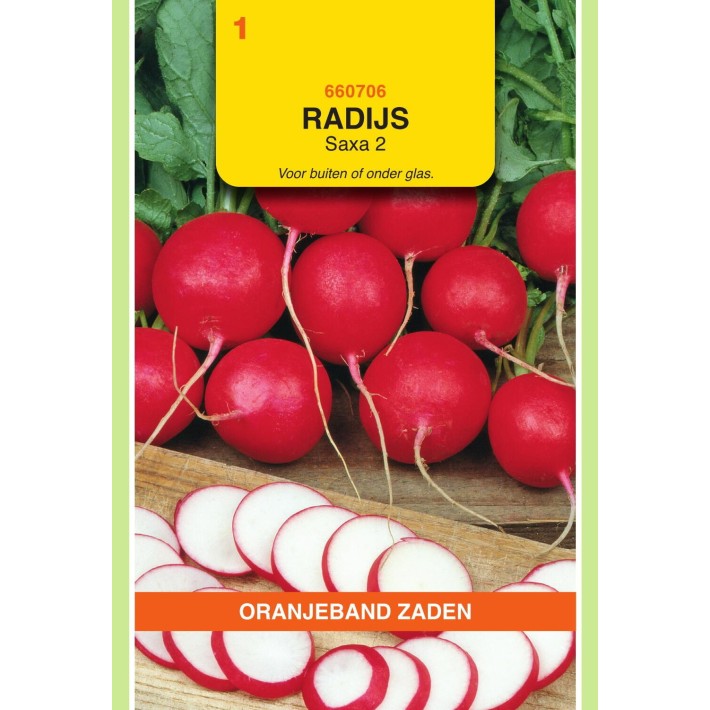 Oranjeband® Radish Saxa 2