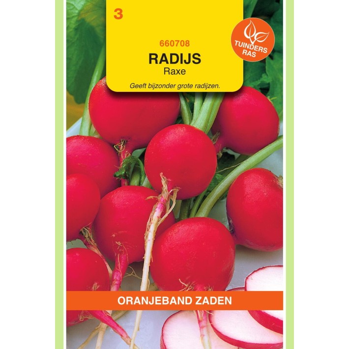 Oranjeband® Radies Raxe