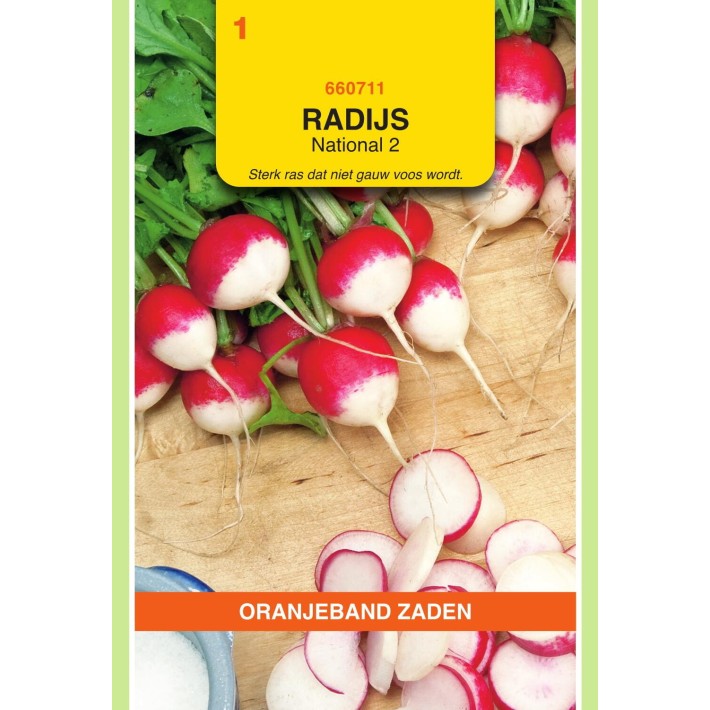 Oranjeband® Radish National 2 - Sparkler 2