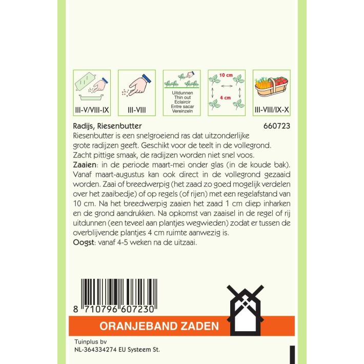 Oranjeband® Radis Burro Gigante