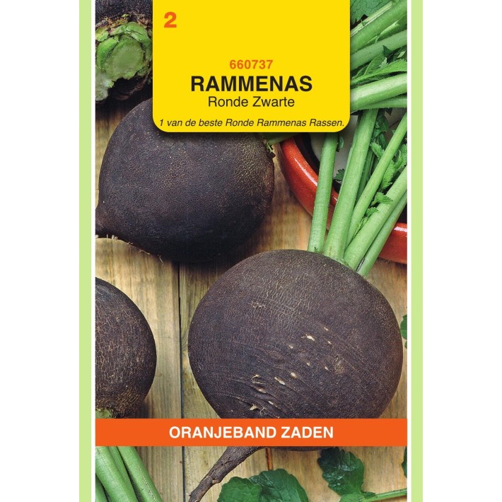 Oranjeband® Winterradish Ronde Zwarte (Round Black)