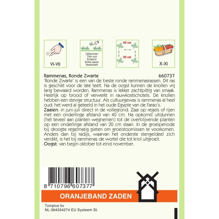 Oranjeband® Winterradish Ronde Zwarte (Round Black)