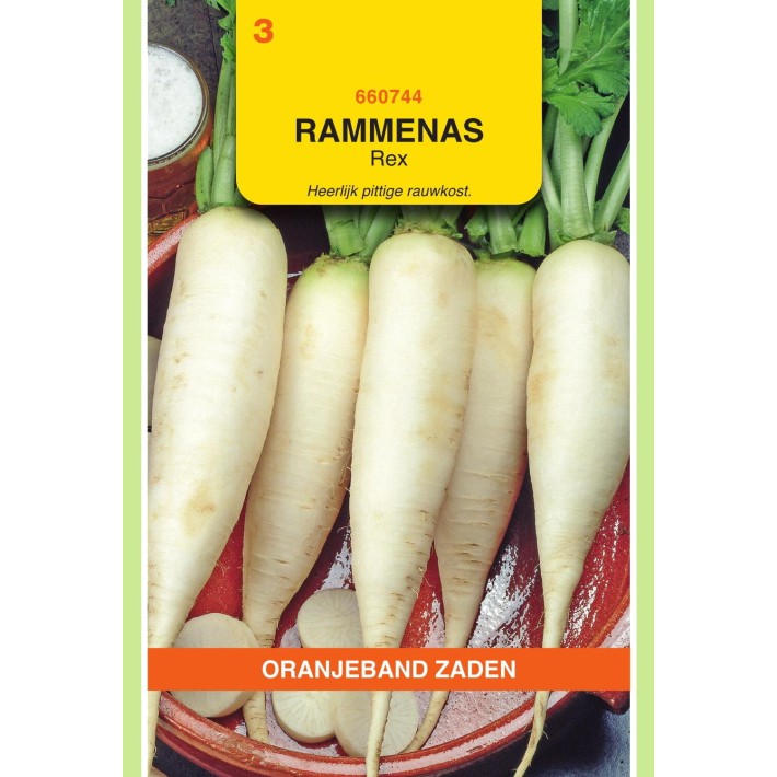 Oranjeband® Winterradish Rex