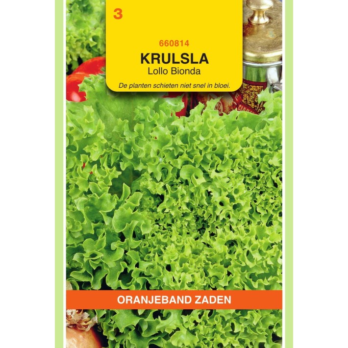 Oranjeband® Lettuce (Leaf) Lollo Bionda