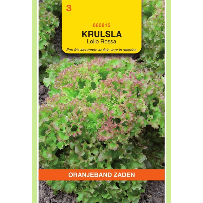 Oranjeband® Laitue frisée Lollo Rossa