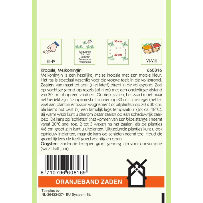 Oranjeband® Lettuce (Butterhead) Maiking