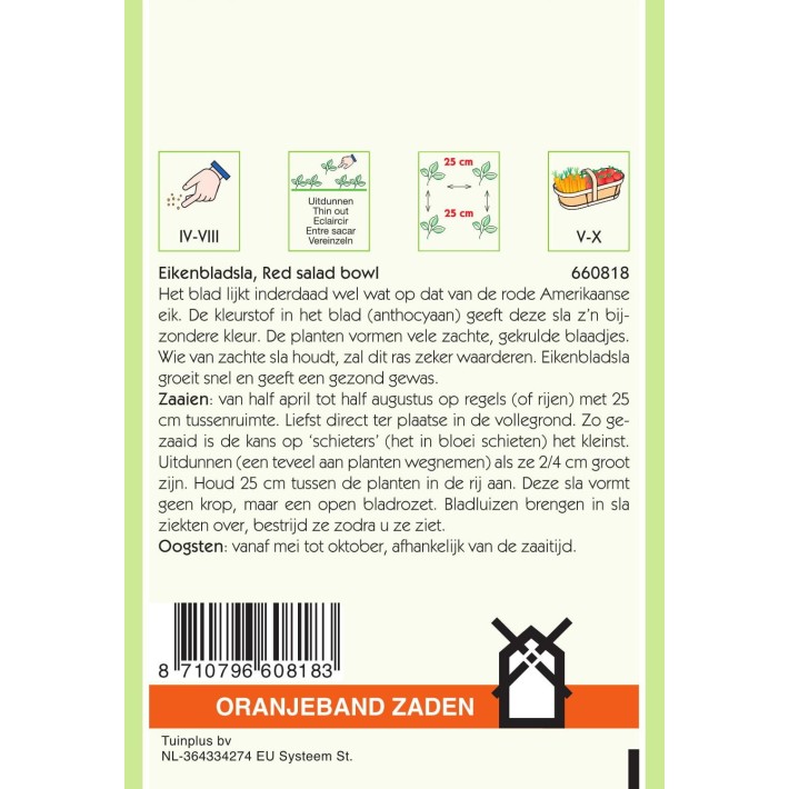 Oranjeband® Laitue à couper Salad Bowl rouge