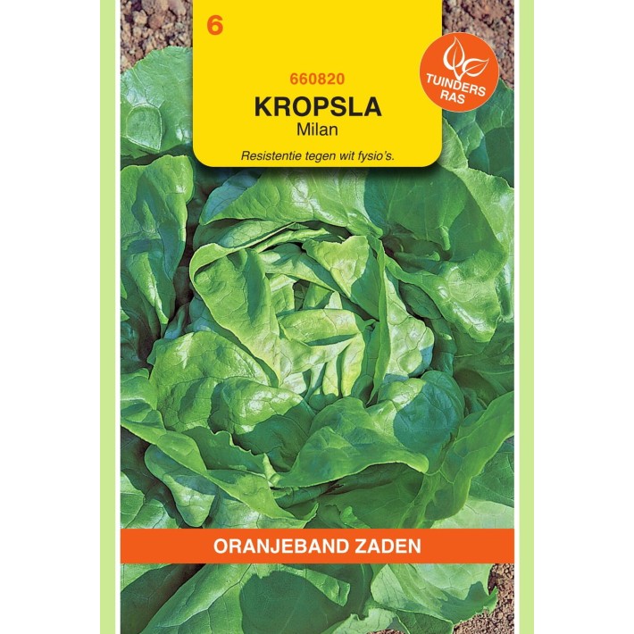 Oranjeband® Laitue Pommee Milan