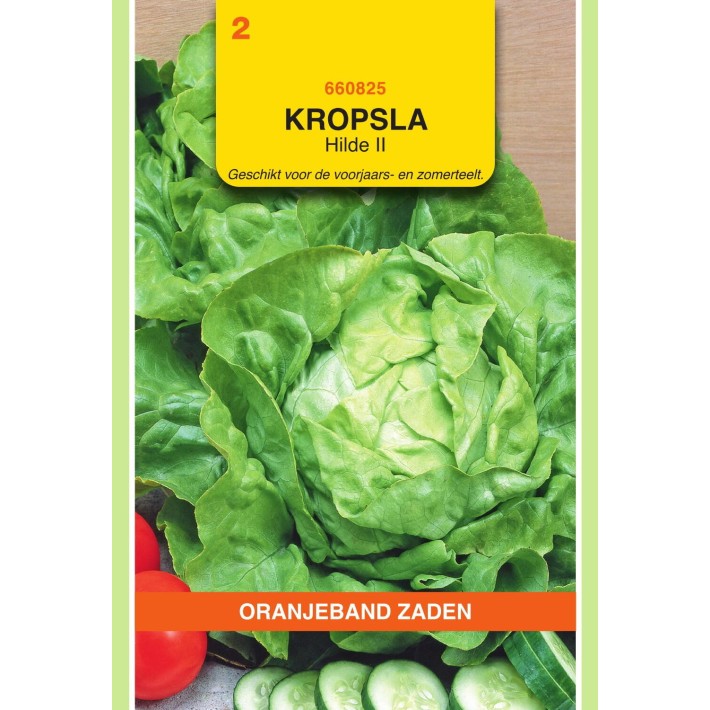Oranjeband® Lettuce Hilde II  (Market Favourite Impr.)
