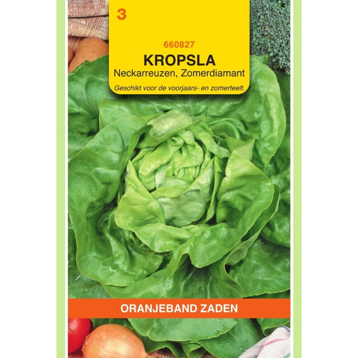 Oranjeband® Laitue pommée Diamant d'Eté